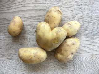 Kartoffeln, festkochend