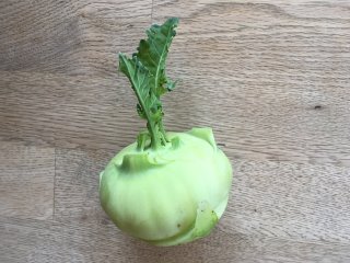 Kohlrabi Superschmelz, klein