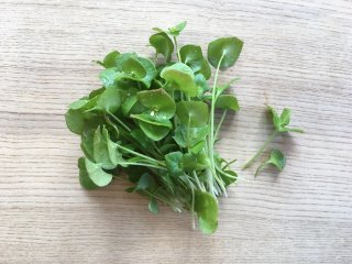 Winterportulak, doppelte Portion