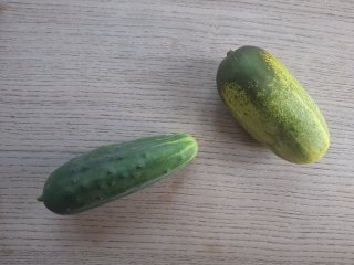 Gurke, kurz