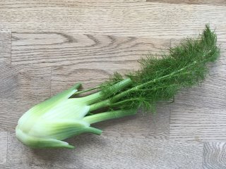 Fenchel