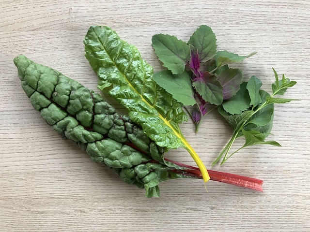 Baby-Leaf Blattgemüse gemischt