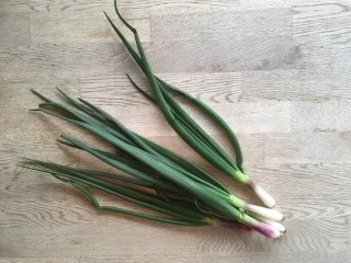 Frühlingszwiebeln